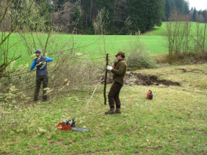 Hecke zuruckschneiden klein