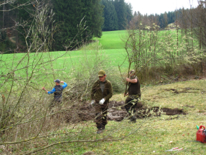 Heckenzuschnitte Abtransport klein