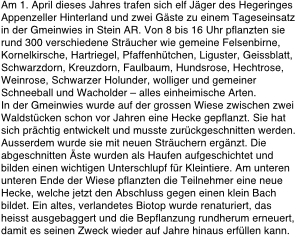 Pflegeinsatz Patentjager klein